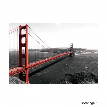 Fototapetai GOLDEN GATE BRIDGE 254 x 368 cm